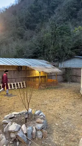 #cook #amthuctrunghoa #viral #mongolia #usa #fyp #cooking 