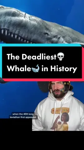 The deadliest whale in history #whale #EduTok #LearnOnTikTok #whales #shark #sharks #ocean #animals #nature #moreyouknow #AnimalFacts #history 