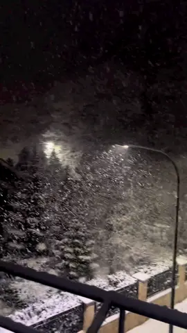 what a view!😳 | She has the best window view this month!😍 #windowview #snowing #winter #perfectview #natureathome #foryou (via: @lazhl)