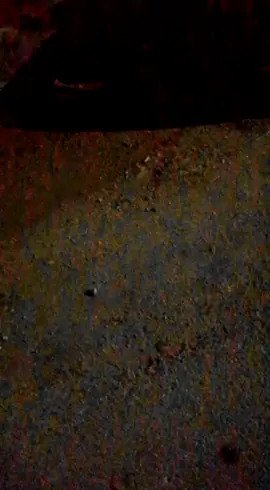 #මාතලේ_අපි❤ පාලුවෙ ඉන්න එයයි මායි layik එකක් දාන් යමු හැමොම #photogallery @dilki2003d @janith_lakk @himasha____0 @rashmikasadakelum00