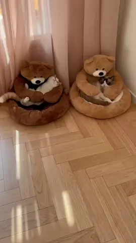 Cute Bear Hug Design Dog Cat Beds Plush Pet Beds Cuddler, Warm Soft Calming Dog Beds with Removable Washable Cover Non-Slip Bottom#tiktokmademebuyit  #catproducts #tredinng #fypシ #funny #pet #cattutorial #catcup #pets ##catproblems #america 