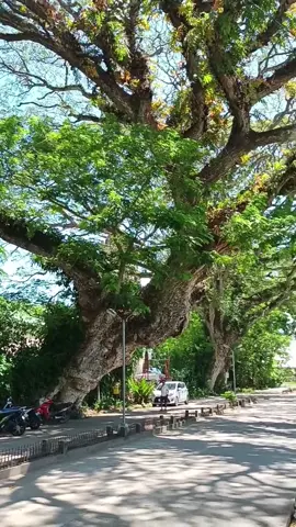 Suroy- suroy ta sa lungsod sa Bacong, Negros Oriental ❤️ #bacongnegrosoriental #fyp #foryoupage 