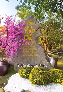 Trước mọi việc hãy nên suy nghĩ theo hướng tích cực, kết quả sẽ được an lành.           NGUỒN FB: CHÙA BA VÀNG  #chùabavàng #thaythichtructhaiminh #tetvandieuvui 