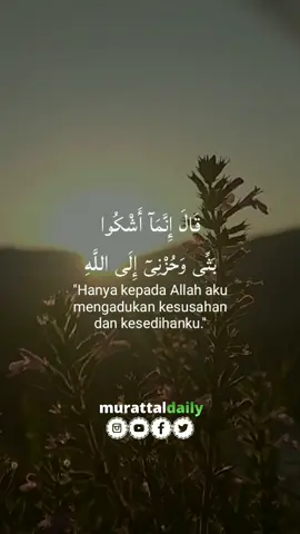 📖Surah Yusuf (Ayat 86-87) #murattaldaily #alafasy