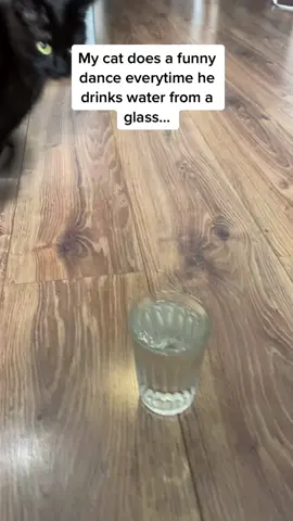 Them little taps at the end 😭😭😭 (Anton Belorybkin via @ViralHog) #pubity 