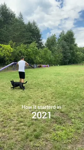 Throwing skill 📈 #fyp #dlaciebie #dogfrisbeefreestyle #dogfrisbeetraining #DogTraining #dogsoftiktok #dogtricks #dogfrisbee #doglover #evolution 