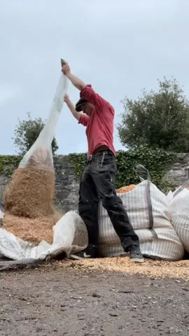 Day 1&2 of making ash tables #woodworking #ireland #cork #ash #crossbarry #thicknesser #busy #woodwork #irish #furnituremaker #table #carpentry #milling #planeing 