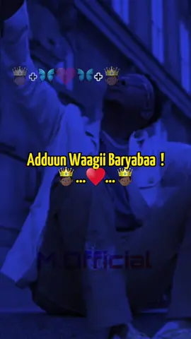 #mubaarik_lyrics  ( Wllshy Qaaliyeey ) 🦋🤴🏿♥️✍ #foryour 