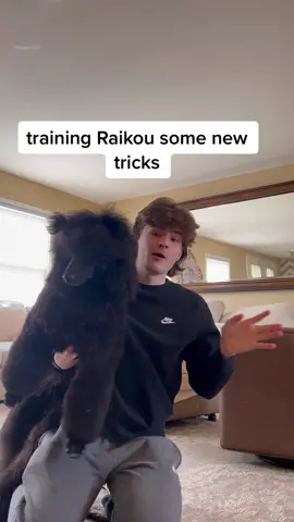 next thing is training him to be less nosy.
