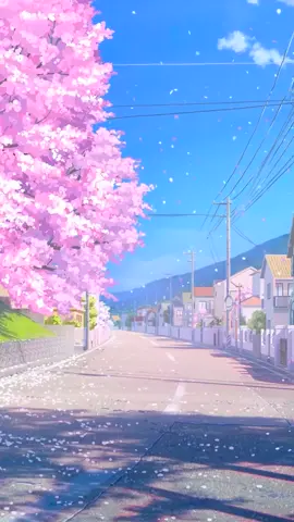 Spring is coming. #cherryblossom #japanese #street #scenery #fypシ #foryou #livewallpapers Like & follow for more.