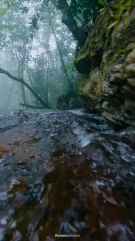 Waterfall🫣🇱🇰♥️guess this place?😏!!use headphones🎧!!Surround sound!! #viral #trending #epic #popular #travel #nature #waterfalls 