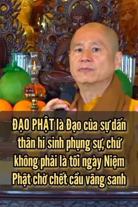 #TT_TS_THICHCHANQUANG #PHATPHAP #PHAPQUANG_SENHONG 