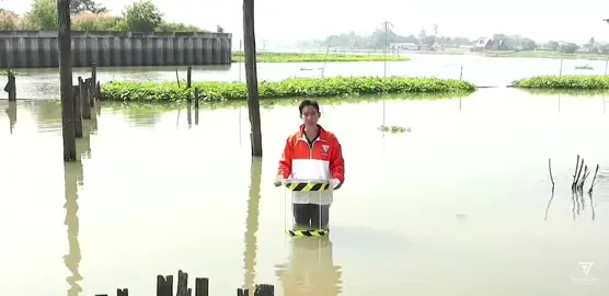 #พิธา #ก้าวไกล ลงทุนมาก 