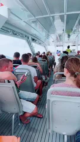 ทำงานก่อนพอได้ไปชนไก่สักโลอีกสักตัว🤍🌴#เกาะพะงันนิน้อน #สปีดโบ๊ทพะงัน #นายกขาวพะงัน #สปีดโบ๊ท #หนุ่มพะงัน9 #เกาะพะงัน #เกาะพะงันนิน้อน🌴🖖🏾 