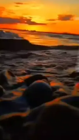 مغاوناش الفانئ 😔😔😔#تصميم_فيديوهات🎶🎤🎬 #rap #foryou #foryoupage #djalilpalermo #djalil_palermo #djalil_palermo 