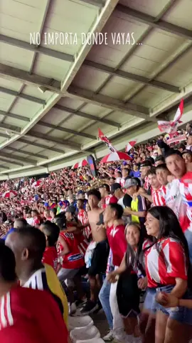 ¡Cuando peor vayas, es cuando mas quiero alentarte!🔴⚪️🏆. LETRA “NO IMPORTA DONDE VAYAS” LBK. #junior #barras #metropolitano #ligabetplay #quintero #lbk #barranquilla 