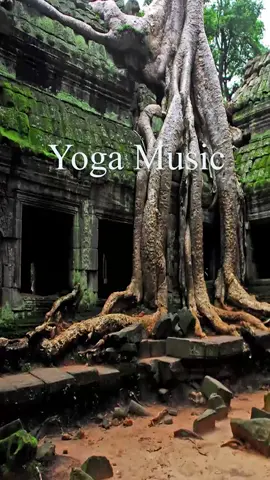 Yoga Music #yoga #yogamusical #meditation