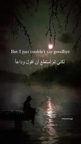 #اغاني_مترجمه #fyp #explore #franksantra #90s #50s #foryou #feelings #fypシ 