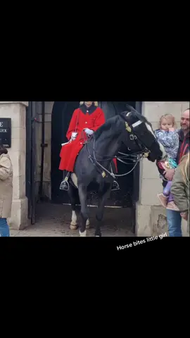 #kingsguard #householdcavalry #horseguardsparade #history #England #tourist #fyp #londontiktok #londonlife #horse #london #horsesontiktok #horsesoftiktok #soldier 