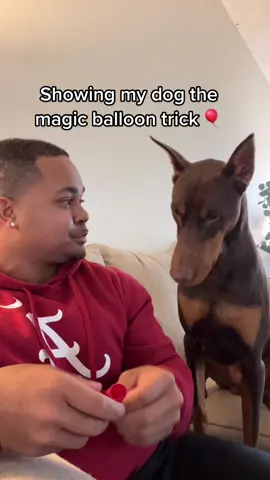 I don’t think he’s a fan of this one 😅#fyp#suavexavier#knox 