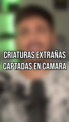 Criaturas extrañas captadas en camara #fyp #fypシ #foryou #julianabdala #misterios #misterioso #mistery #horror  #personasterroríficas #criaturas