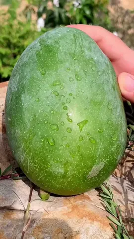 OMG 😱 👩‍🌾🤤😅🥭 so juicy #usa #fruit #mango