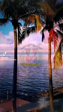 #viral #viralvideo #viraltiktok  #juanluisguerra #cantoalapatria #romocoño #hoysebebe #republicadominicana #rd #hoysebebe