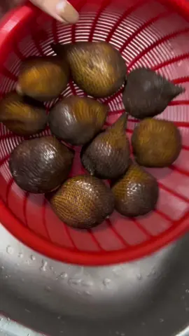 -ăn thử quả Mây Indo và cái kết ngon hú zía. Da nó trông hệt như da rắn vậy, đụng vô rất ráp luôn, nhưng lột ra thì thấy quả rất thơm á. Vị ngọt, nó khó tả tui thấy giống sự kết hợp của mãng cầu và bòn bon..... không thể diễn tả. Đặc biệt là rất giòn luôn. Nói chung với tui là tui rất ưng cái miệng lunnn #hoaicheeze #myvlog #mâyindo #Foodie 