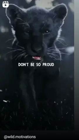 cheap things have many buyers be valuable #Foryou #successful #Attitude 