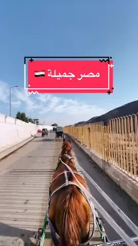 مصر جميلة♥️ #egypt #aswan #luxor #travel 