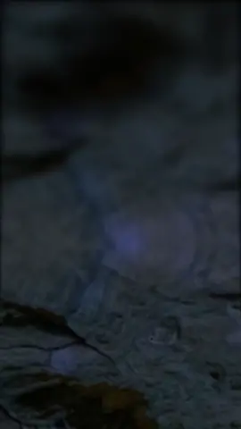 🔥 Luffy Gear 5 laugh 🔥 @Veinpop #luffy #onepiece #onepieceedit #gear5 #fyp #anime #manga #animeedit #laugh #animation #phonk #luffyonepiece #monkeydluffy 