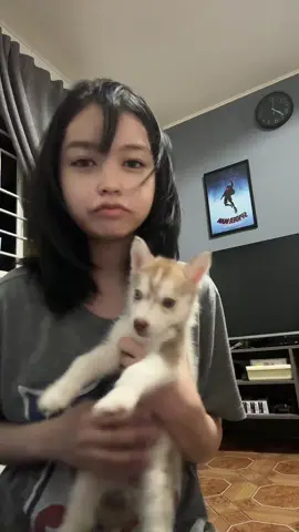 itong daga na to panay kagat