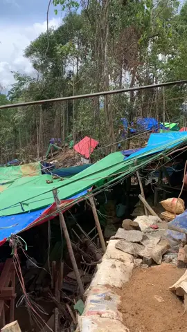 Putus cinta soal biasa tapi kalau putus tebean mati rasa #tambang #lokasih #rahasia