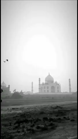 যারা লেখা ছাড়া ভিডিওটি চাচ্ছিলেন তাদের জন্য, ভিডিওটি কপি লিংক করে সেই লিংক দিয়ে Chrome browser থেকে ডাউনলোড করে নিন। #ইসলামিক_ভিডিও #islamic_background #_islamic_life_line_ #_ahmed_shahin_ 