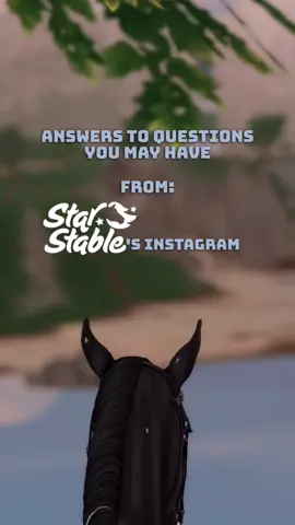 Do you want to change your SSO name? #sso #starstableonline #starstable #ssoquestions 
