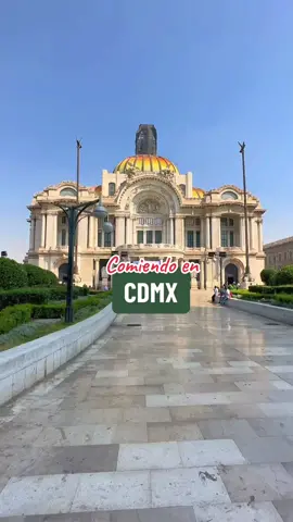 Comiendo en Ciudad de México  -Niddo -Orinoco  -Mi Compa Chava  -Casa de Toño  #cdmx #gastronomia #mexico #mexicoeats #gastrotour #cdmx🇲🇽 #tacostacostacos #niddo #taqueriaorinoco #micompachava 