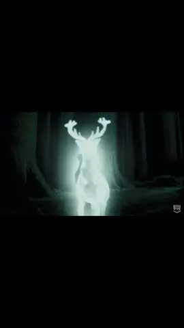 Hardest scene in Harry Potter? #wizard #petronas #harry #harrypotter #pridonerofazkaban #deer #dementor #fyp #edit #carti #hard 