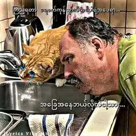 ကြေကွဲလူငယ်လေးမောင်Shin💔ရေစက်ကုန်သွားပြီ ထင်ပါတယ်အဖေရာ#alightmotion_edit #crdစာသား #crdpreset #thank4youdo #xmlpreset #fpy #fyp #fypシ #foryou #foryoupage #tiktokmyanmar 