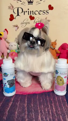 Princess🐶 na takot sa tubig🤣👉