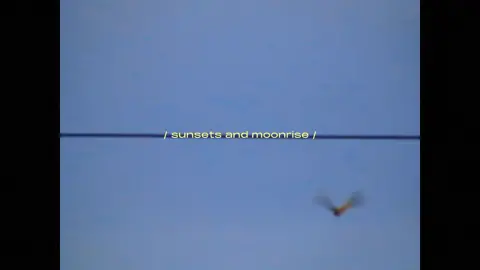 camcorder series 📹 | sunsets and moonrise #sunsetphotography #camcorder #camcordervids #sunsets #oldvideocam #videocamera 