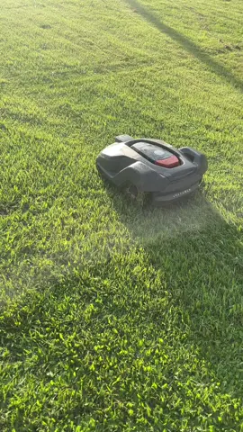 Aqui corta grama sozinho #tecnologia 