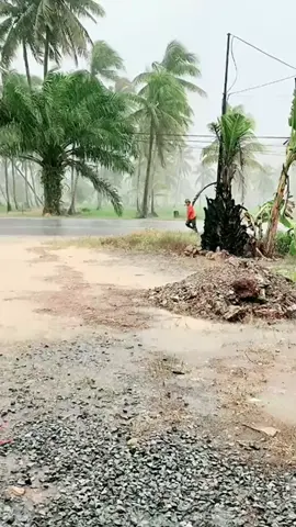 untung payungku tidak kena hujan .#Dramakomedi  #ngakak #Lucu  #TIKTOKtrending 