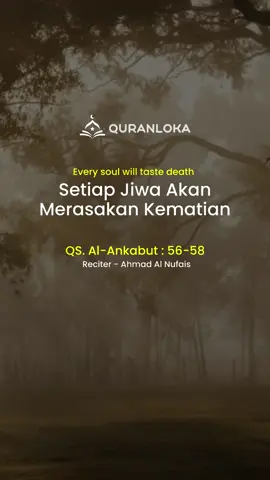 Setiap Jiwa Akan Merasakan Kematian #quranloka #murottalquran #ngaji #tadabburdaily #fypシ