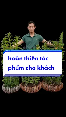 tác phẩm e vừa hoàn thiện cho khách.các bạn cho mình 1 lời nhận xét xem ok không nhé🥰#hoalangiong #lanvartoantran #xuhuong #damme #chiasekinhnghiem #hoalan #congvieccuatoi 