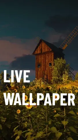 #LiveWallpaper May the golden sunflowers of Novigrad remind you that even amidst the darkest moments, there is always light and warmth to be found. #TheWitcher #TheWitcher3NextGen #Witcher3 #sunflowers #wallpaper 