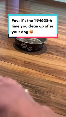 Ya’ll need this if your dog can’t drink without spilling water #puppy #dogproblems #dogmusthaves #dogsoftiktok #fyp #viral 