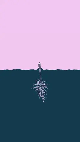 I’m starting my first seeds for my garden today 🤗 Seemed like a good time to reshare this hand-drawn animation I made a couple years back! #animation #handdrawnanimation #seeds #seedstarting #seedling #garden #gardening 