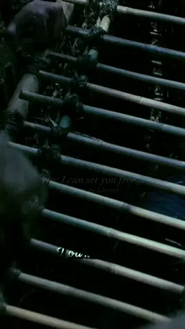 POV Peter locked Y/n up because of her dangerous powers, she tries to escape by coaxing the boys... #ouat  #neverland #onceuponatime #lostboys #peterpan #robbiekay #saison3 #pov #paysimaginaire #devin #felix #fyp #skylergisondo #parkercroft #loanepan #peterpan2013 