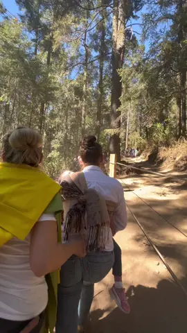 Giving her a wedgie the whole way up 😭 #funny #jajaja #parati #zyxcba 