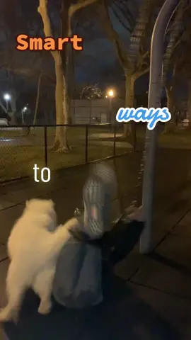 just call me a catto bc I stay landing on my feet🤪🤓 #smartwaystolive 
